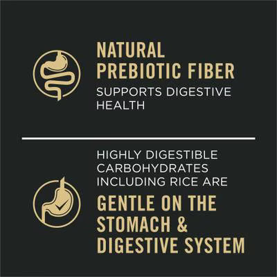 Purina Pro Plan Sensitive Skin & Stomach Pate Salmon & Rice Entree Wet Dog Food