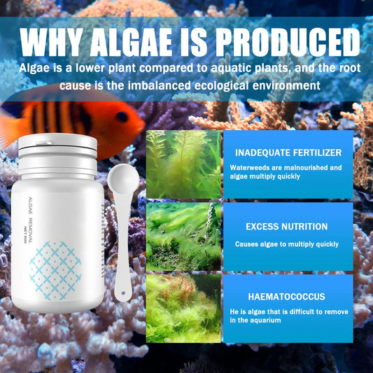 Fish Tank Cleaning Algae Tablets Tank Moss Odor Remover Water Purify Aquarium Algaecide Control Cleaning Algae Repellent Agent