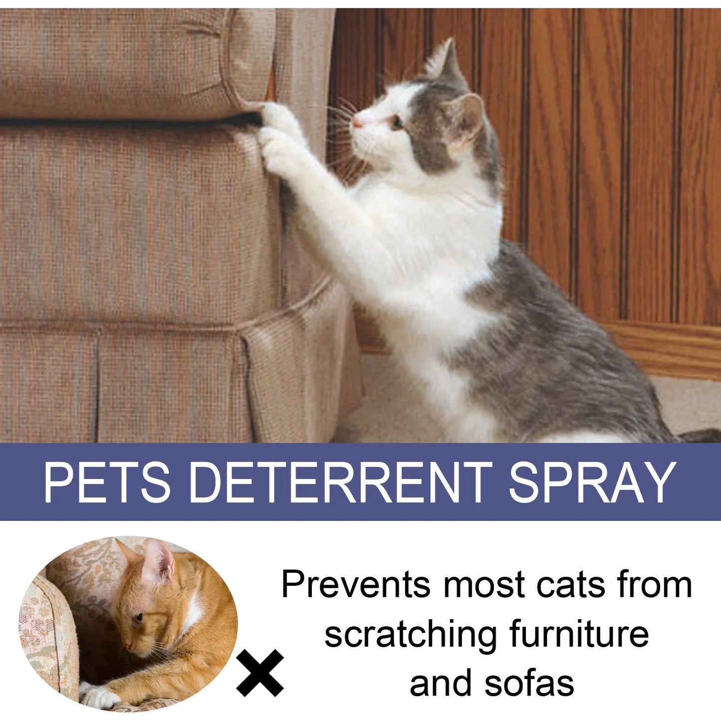 Pet Scratch Deterrent Spray Prevent Scratching Chewing Sofa Furniture Protector Bitter Anti Gnawing Cat Scratch Training Liquid