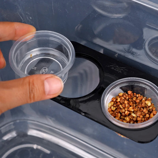 Reptile Feeder with Suction Cup Reptile Feeders Feeding Bowls Food Container with Bowl for Reptile Food and Water Feeding