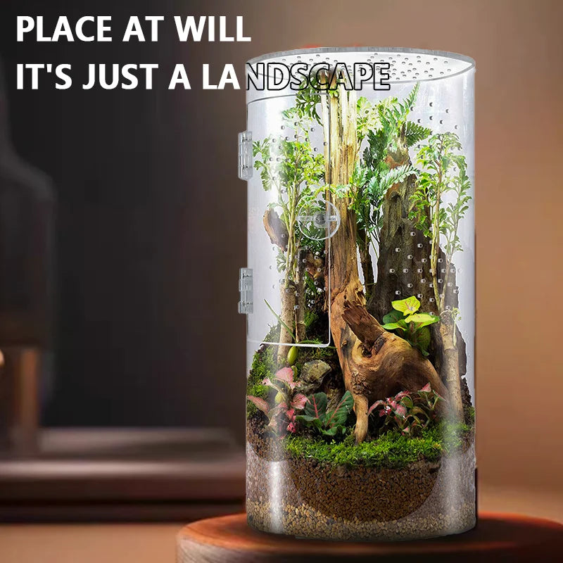 Insect Feeding Cage Spider Lizard Scorpion Arboreal Enclosure Case Acrylic Reptile Breeding Box Transparent Terrarium Habitat