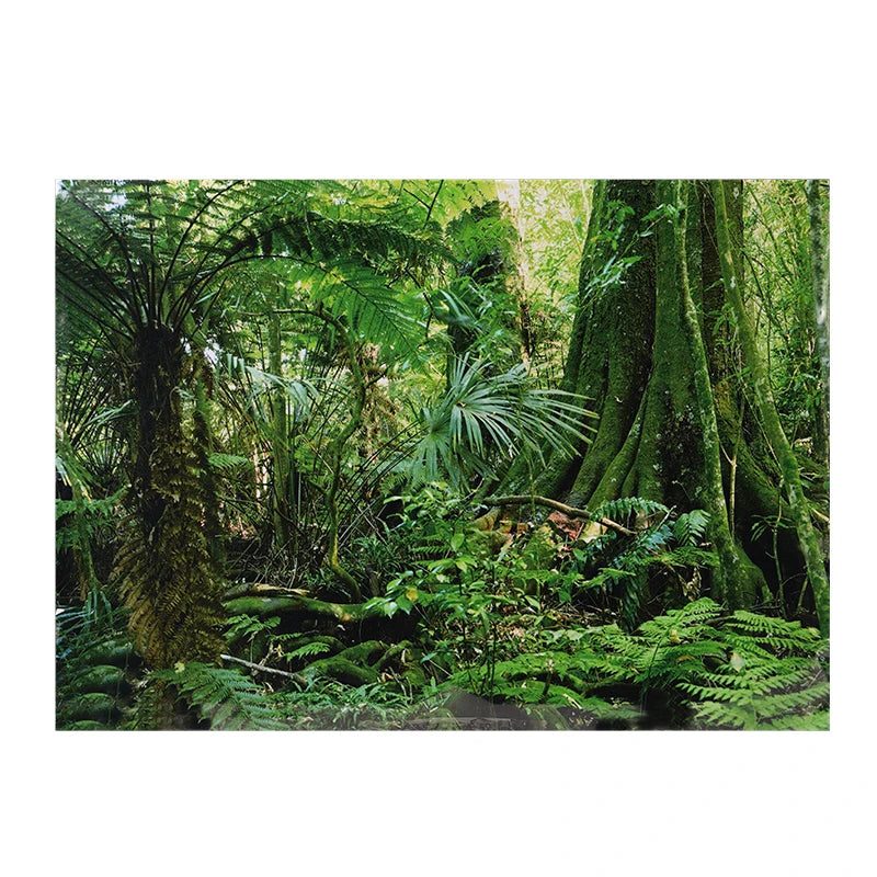 Aquarium Background Poster PVC Adhesive Sticker Fish Tank Seafloor Water Grass Background Decoration Painting PVC Sticker