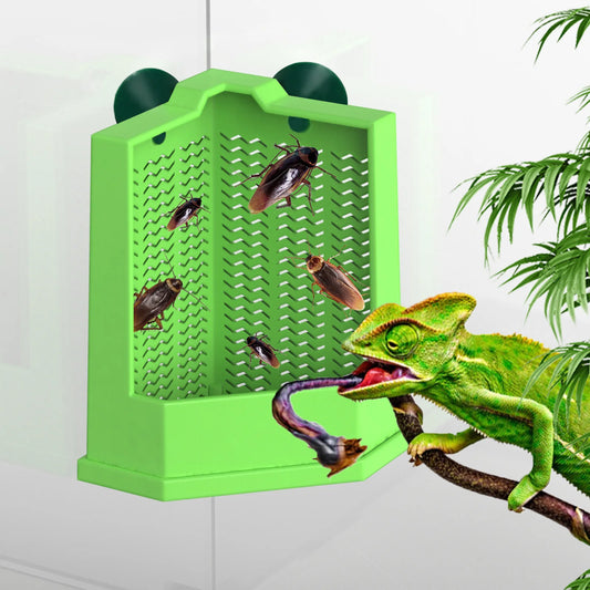 Cockroach Climbing Feeder, PP Material, Anti-escape Design, Suction Cups, Suitable for Lizards and Chameleons