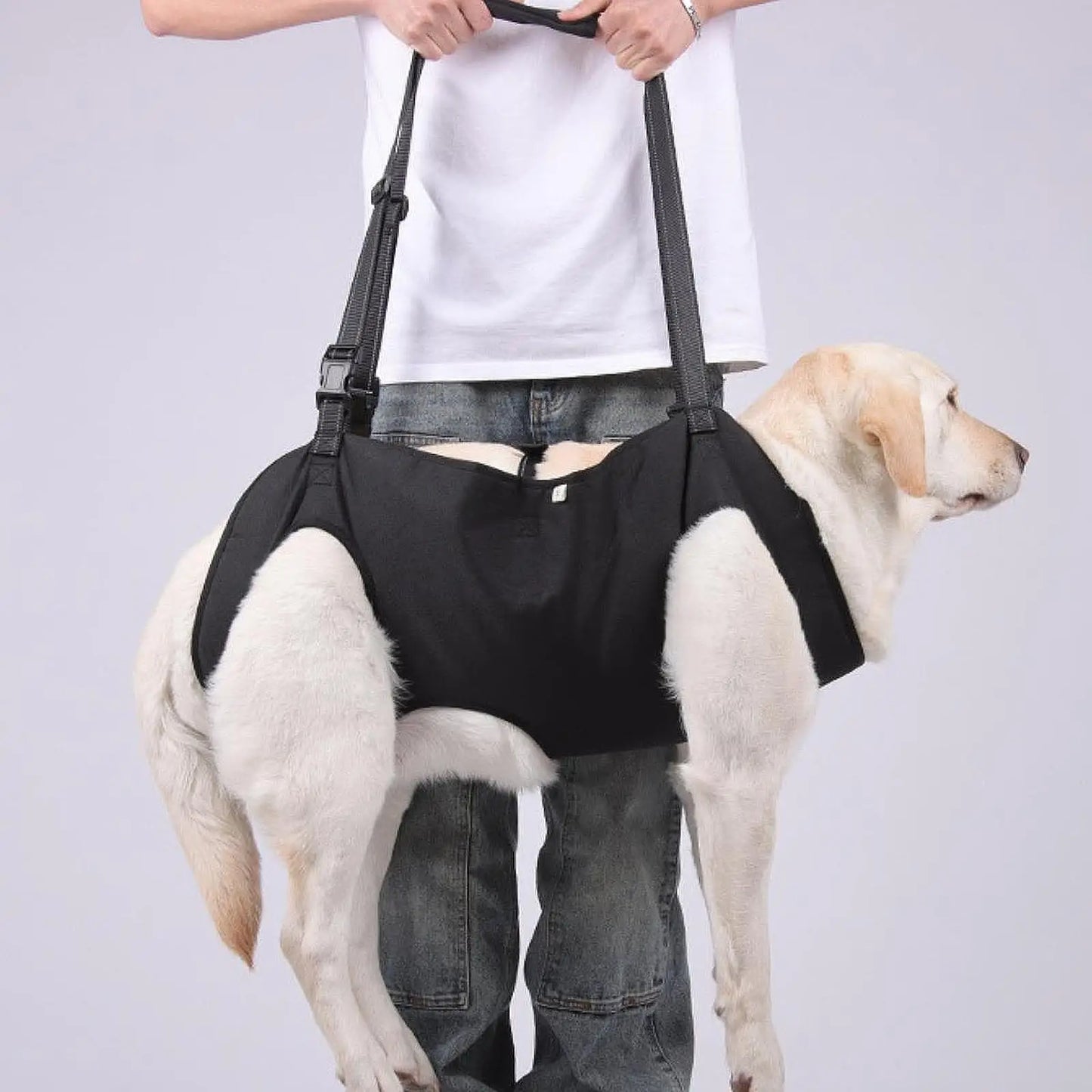 Portable Dog Sling Dog Lift Harness Backpack Carrier for Dog Body Support Rehabilitation Sling Padded for Injured Elderly Dogs