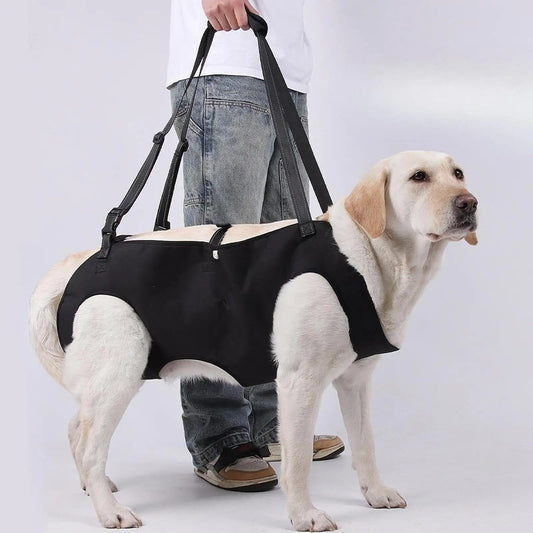 Portable Dog Sling Dog Lift Harness Backpack Carrier for Dog Body Support Rehabilitation Sling Padded for Injured Elderly Dogs