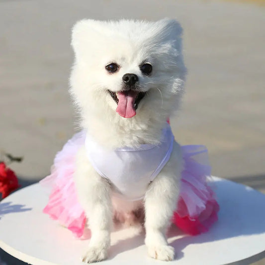 Spring Dog Lace Dress Pet Dog Clothes For Small Dog Party Birthday Wedding  Dress Puppy Costume  Pet Clothes