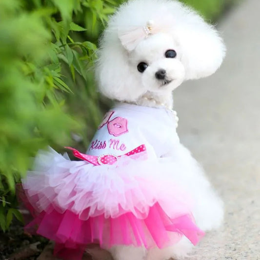 Spring Dog Lace Dress Pet Dog Clothes For Small Dog Party Birthday Wedding  Dress Puppy Costume  Pet Clothes