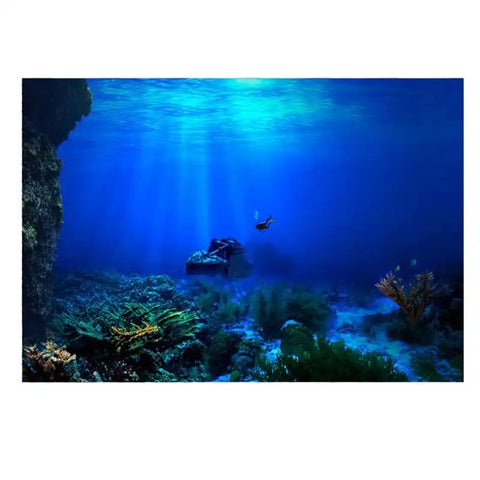 Poster for Aquarium Adhesive Seaworld Background Poster for Aquarium Fish Tank Decoration Aquarium Plants Seeds