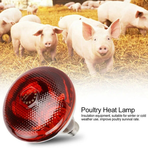 1PC Poultry Infrared Heat Lamp Waterproof Anti-Explosion Thickened Light Bulbs For Piglet Chicken Duck Birds E27 Heating Lamp