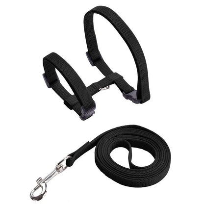 Cheap Sphynx Cat Harness and Leash Set Convenient Pet Harnesses for Cats Gotas Katten mascotas Accessories Outdoor Kedi Cat Lead