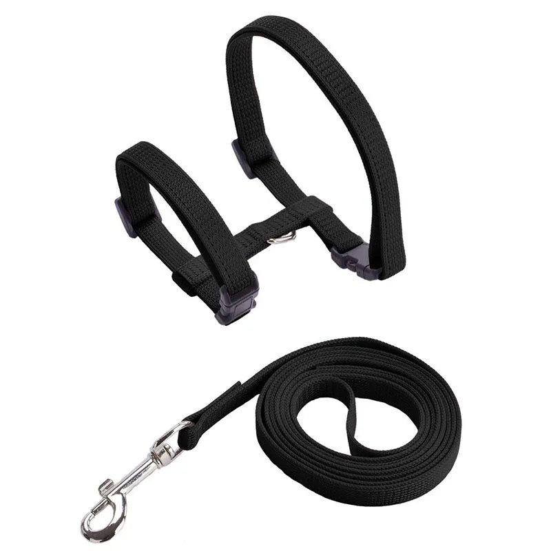 Cheap Sphynx Cat Harness and Leash Set Convenient Pet Harnesses for Cats Gotas Katten mascotas Accessories Outdoor Kedi Cat Lead