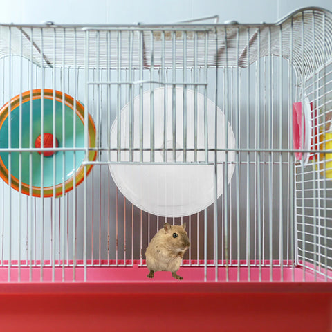 Hamster Running Wheel Silent Chinchilla Large Guinea Pig Toys Small Animal Machine Exerciser Double Bearing