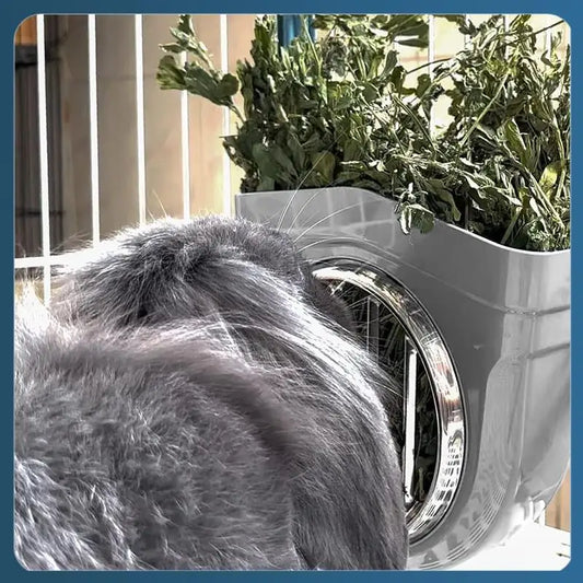 Small Animal Hay Feeder, Chew-Proof , Grid Alfalfa Rack For  Bunny Guinea Pig Chinchilla Cage Hutch Crat