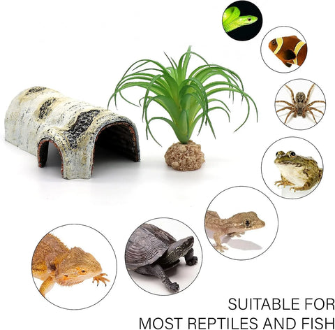 Pets Lizard Turtle Reptile Hide Cave Habitat Shelter Resin Tree Bark Amphibians Landscape Reptiles Box Dodge Hole Decoration