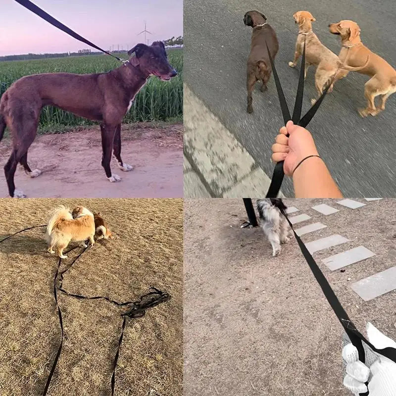 Long Nylon Pet Dog Leash For Small Big Dogs Cats Outdoor Hiking Puppy Lead Rope Strong Labrodor Traction Belt 1.5m 3m 10m 30m