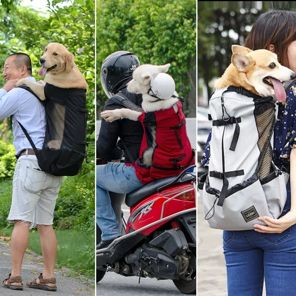 Breathable Pet Dog Carrier Bag for Large Dogs Golden Retriever Bulldog Backpack Adjustable Big Dog Travel Bags Pets Products