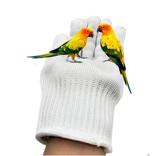 Anti-Bite Bird Training Gloves Safety Chewing Protective Small Animal Handling Gloves for Parrotlets Cockatiels Parrot