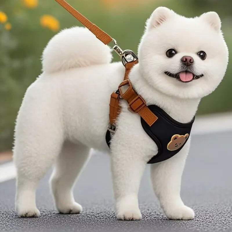 Adjustable Dog & Puppy Harness Leash Set with Breathable Vest and Chest Strap for Small to Medium Dogs