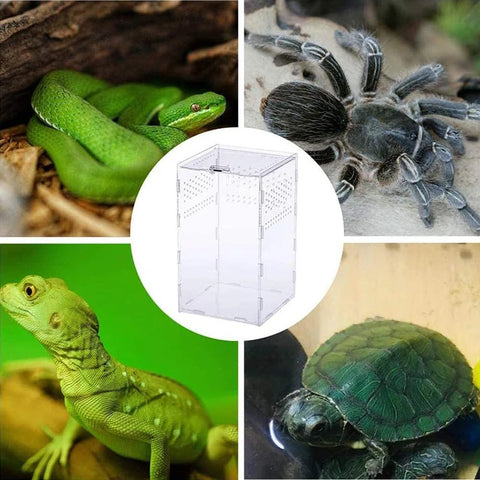 Acrylic Reptile Breeding Box Transparent Terrarium Habitat Insect Spider Lizard Scorpion Feeding Cage Arboreal Enclosure Case
