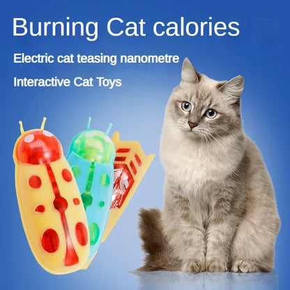 Interactive Mini Electric Bug Cat Toy Kitten Escape Obstacle Automatic Flip Toy Battery Operated Vibration Beetle Supplies
