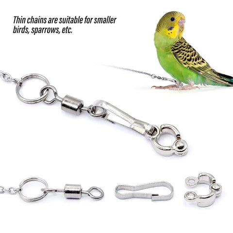 Parrot Leg Ring Ankle Foot Chain Bird Ring Outdoor Flying Training Activity Opening Stand Accessories for Small Bird  Supplies