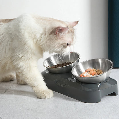 PETWAN Raised Cat Bowl Stainless Steel,Non-Slip Silicone Mat&Raised Cat Feeder with 15°&0°Tilting Neck Protective Bowl for Pets