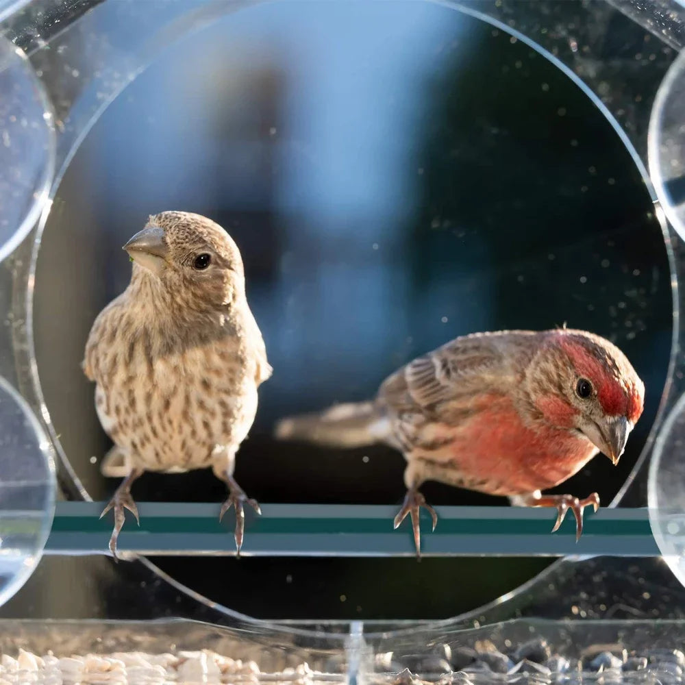 Acrylic Clear Glass Window Birds Hanging Feeder Birdhouse Food Feeding House Table Seed Cup Transparent Windowsill Birdfeeders