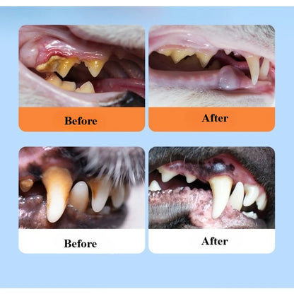 Dog Cat Mouthwash 200ml Natural Oral Care Water Additive for Fresh Breath Tartar Control  Effective Teeth Cleaner Deodorizer