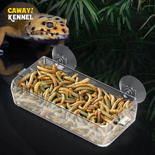 CAWAYI KENNEL Pet Reptile Transparent Feeder Anti-escape Food Bowl Worm Live Container With Strong Suction Cups Pet Supplies