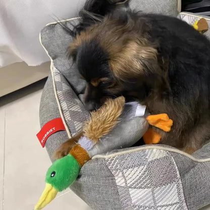 Cute Plush Duck Dogs Squeak Toys Funny Play Intereactive Chew Toy for Small Medium Dog Suplipes Accessories