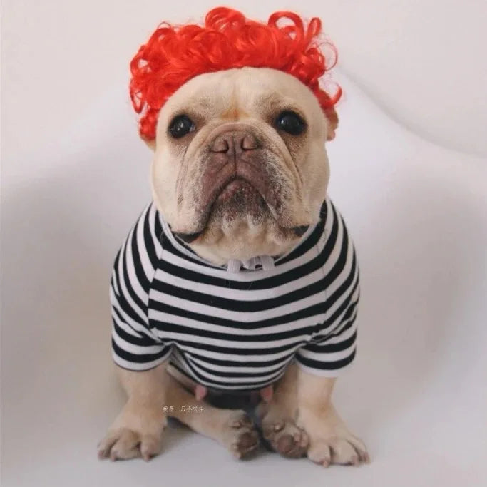 NONOR Pet Wigs Cosplay Props Funny Dogs Cats Cross-Dressing Hair Hat Costumes Head Accessories for Halloowen Christmas Supplies