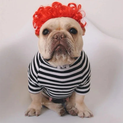 NONOR Pet Wigs Cosplay Props Funny Dogs Cats Cross-Dressing Hair Hat Costumes Head Accessories for Halloowen Christmas Supplies