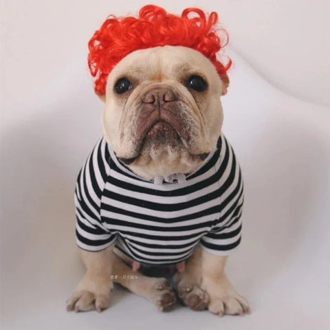 NONOR Pet Wigs Cosplay Props Funny Dogs Cats Cross-Dressing Hair Hat Costumes Head Accessories for Halloowen Christmas Supplies