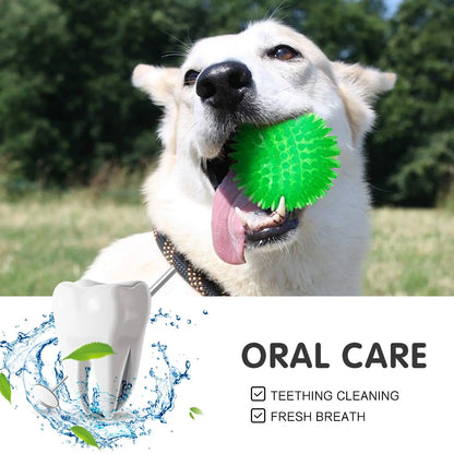 3/6Pcs Squeaky Dog Ball Toys,Dog Chew Balls for Boredom, Floatable Pool Dog Toys,Puppy Teeth Cleaning Toys for Small Medium Dogs