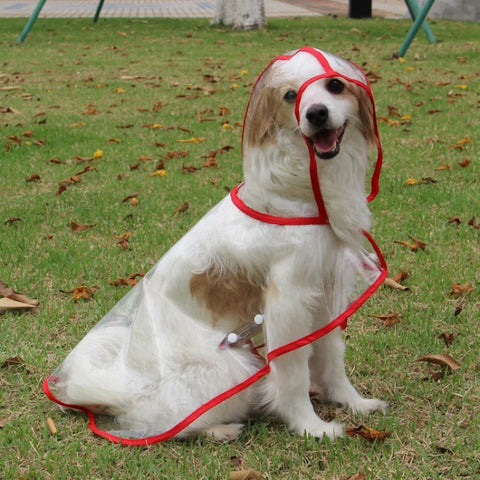 Solid Pet Rain Coat for Small Medium Dogs Impermeable perro Puppy Dog Poncho Raincoat Poodle mascotas Clothes chubasquero perro