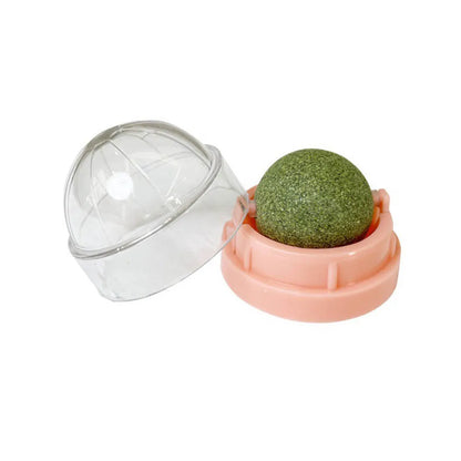 The Catnip Cat Wall Stick-on Ball Toy Scratchers Treats Healthy Natural Removes Balls to Promote Digestion Cat Grass Snack