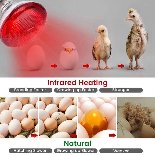1PC Poultry Infrared Heat Lamp Waterproof Anti-Explosion Thickened Light Bulbs For Piglet Chicken Duck Birds E27 Heating Lamp