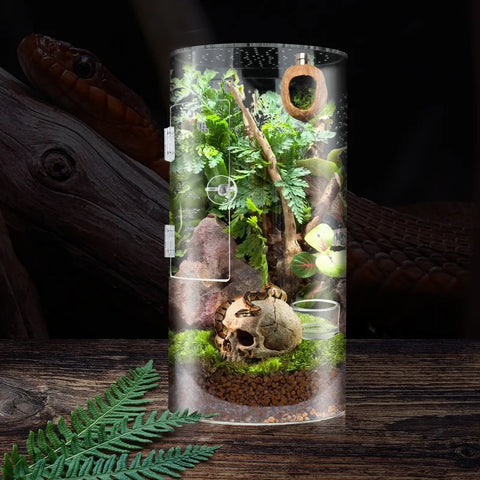 Insect Feeding Cage Spider Lizard Scorpion Arboreal Enclosure Case Acrylic Reptile Breeding Box Transparent Terrarium Habitat