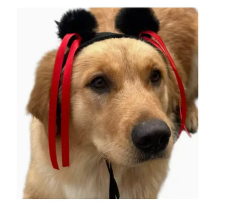 NONOR Pet Wigs Cosplay Props Funny Dogs Cats Cross-Dressing Hair Hat Costumes Head Accessories for Halloowen Christmas Supplies
