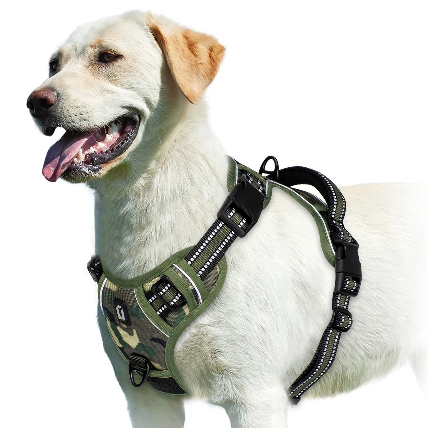 Soft Padded No-Pull Dog Harness with Easy-Grip Handle and Adjustable Straps for Sizes