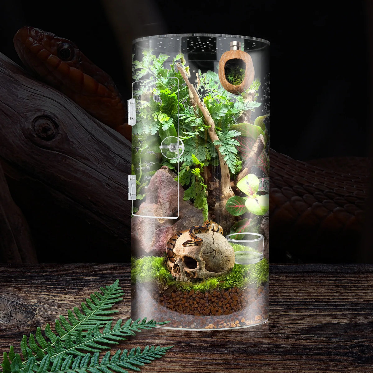 Insect Feeding Cage Spider Lizard Scorpion Arboreal Enclosure Case Acrylic Reptile Breeding Box Transparent Terrarium Habitat