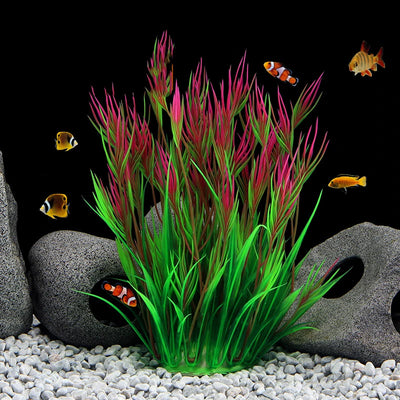 Aquarium Setup