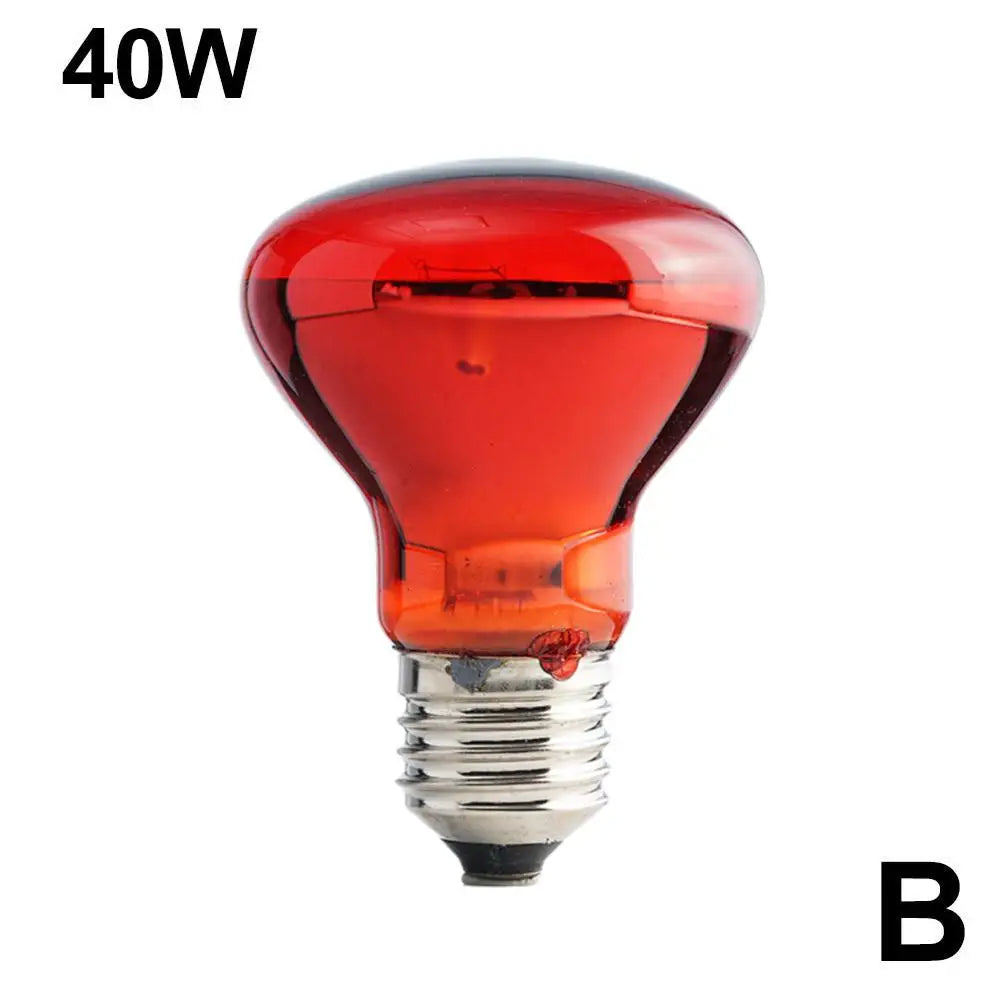 Pet Heating Lamp UVA Day Night Amphibian Amphibian Snake Lamp Heat Reptile Bulb Light Heat Reptile Bulb 25/50/75/100W 220-240V