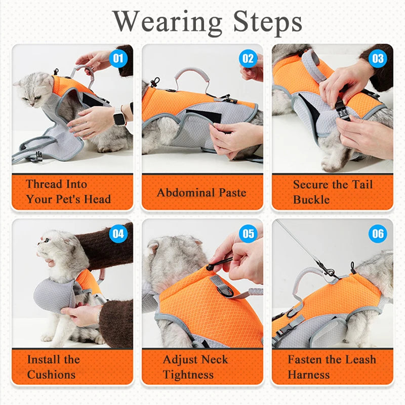 Multifunctional Pet Carrier Bag for Cats Small Dogs Breathable Puppy Four-legged Shoulder Bag Portable Outdoor Walking Dog Bags