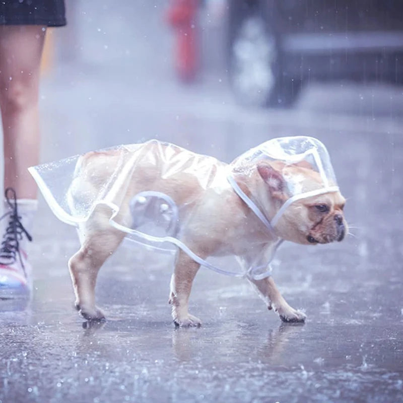 Solid Pet Rain Coat for Small Medium Dogs Impermeable perro Puppy Dog Poncho Raincoat Poodle mascotas Clothes chubasquero perro