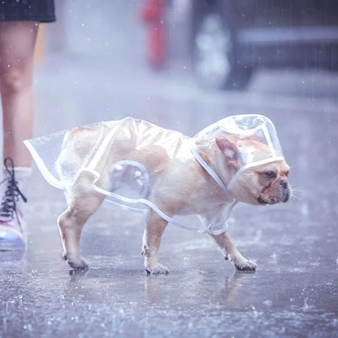 Solid Pet Rain Coat for Small Medium Dogs Impermeable perro Puppy Dog Poncho Raincoat Poodle mascotas Clothes chubasquero perro
