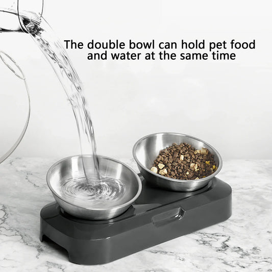 PETWAN Raised Cat Bowl Stainless Steel,Non-Slip Silicone Mat&Raised Cat Feeder with 15°&0°Tilting Neck Protective Bowl for Pets