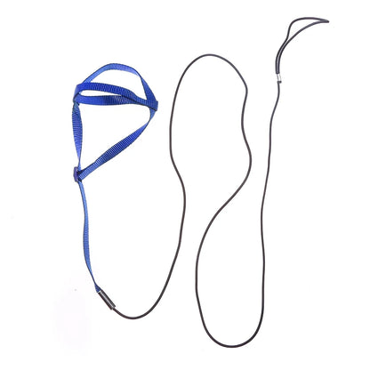 Training Flying Traction Rope Anti-Bite Training Rope Bird Leash Parrot Flying Rope Parrot Harness Bird Harness Leash