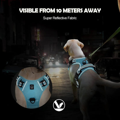 Soft Padded No-Pull Dog Harness with Easy-Grip Handle and Adjustable Straps for Sizes