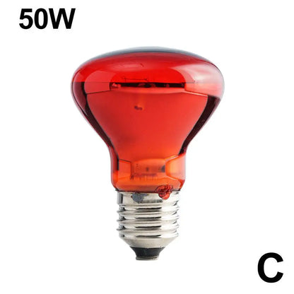 Pet Heating Lamp UVA Day Night Amphibian Amphibian Snake Lamp Heat Reptile Bulb Light Heat Reptile Bulb 25/50/75/100W 220-240V